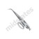 Cuticle Scissors